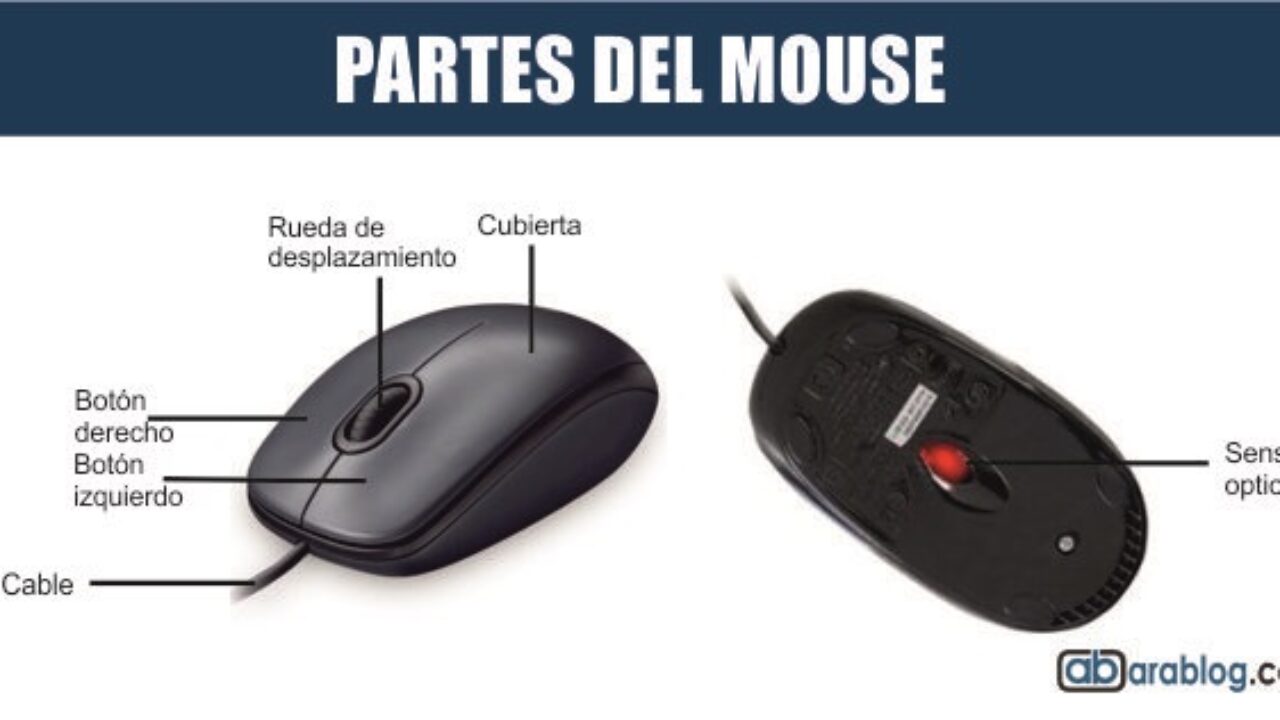 Imagen de un mouse